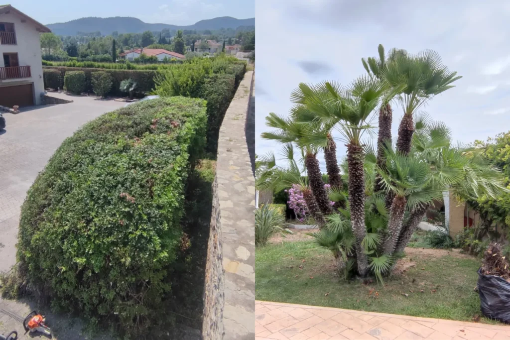 Diseño de Jardines y Paisajismo en Valencia