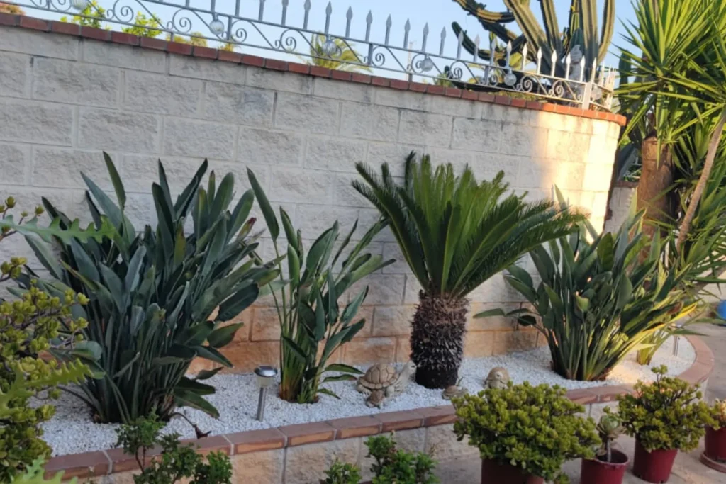 Diseño de Jardines y Paisajismo en Valencia