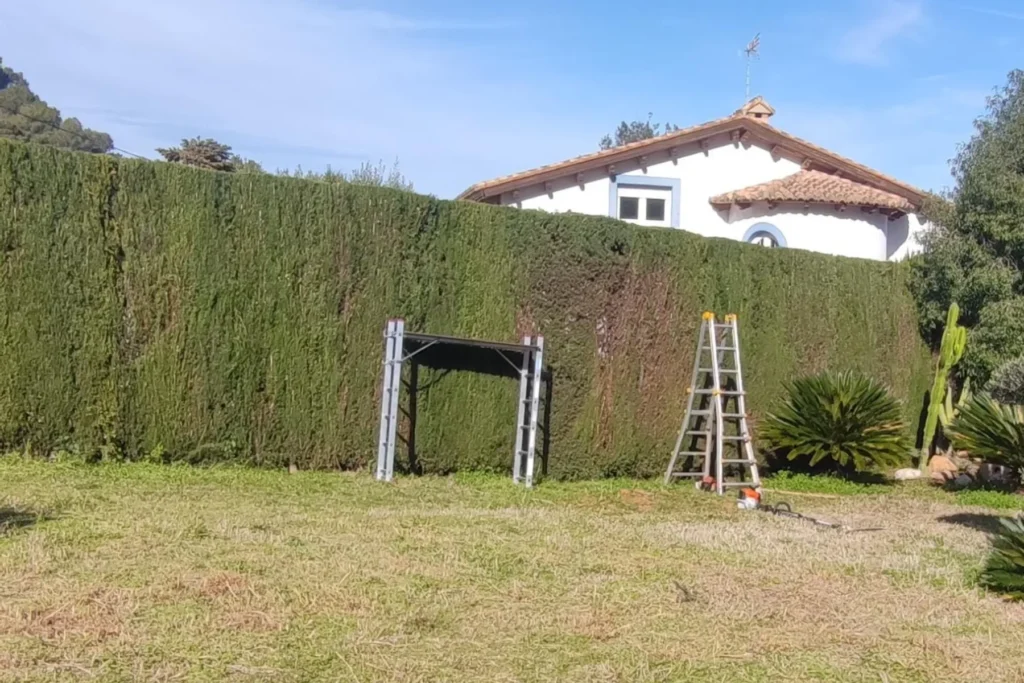Diseño de Jardines y Paisajismo en Valencia