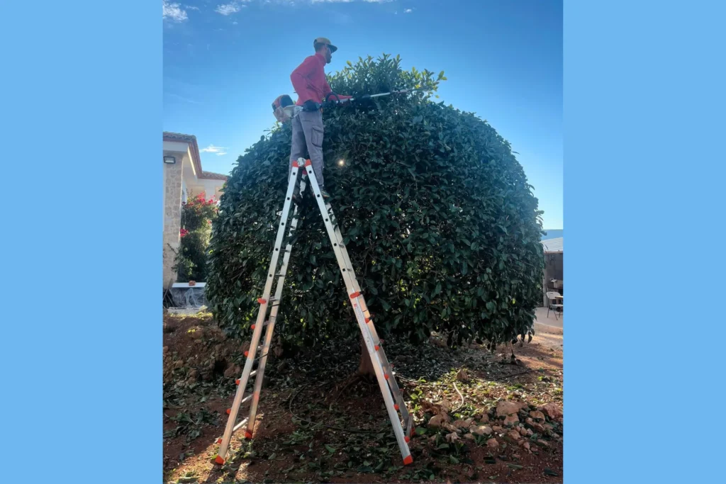 Diseño de Jardines y Paisajismo en Valencia