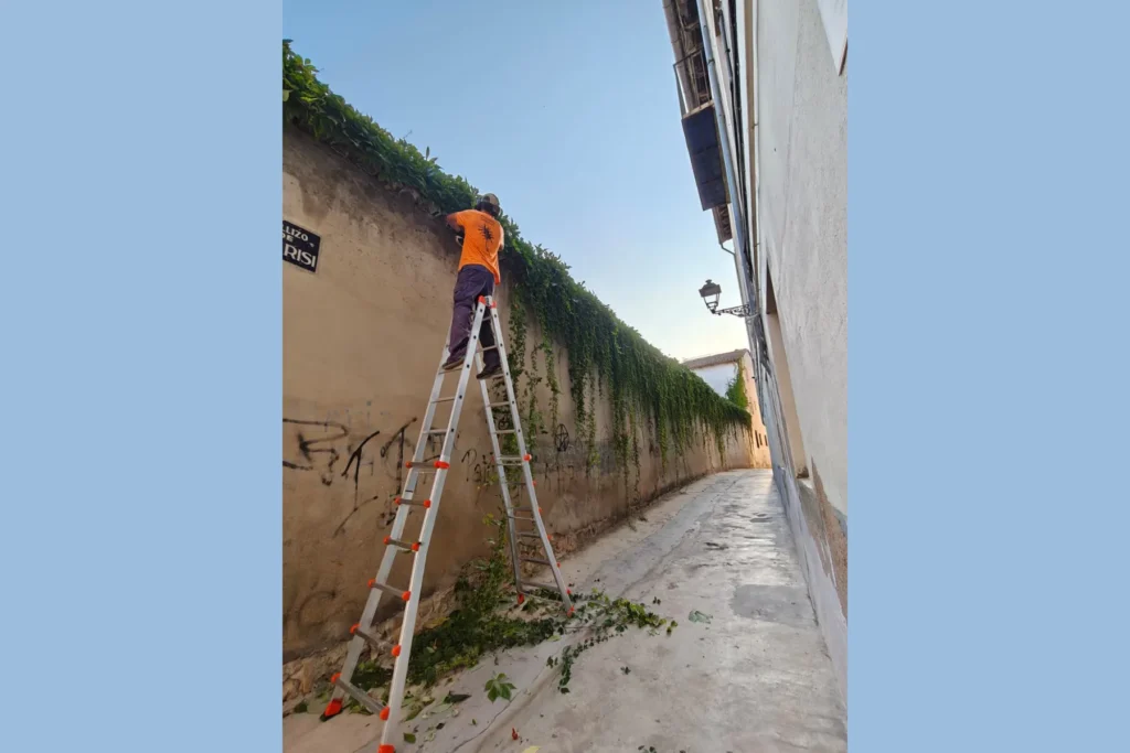 Diseño de Jardines y Paisajismo en Valencia
